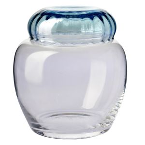 Pojemnik z niebieską przykrywką Synergy