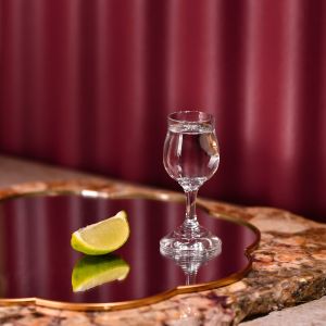 Kieliszki do wódki GEMA 25 ml