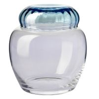 Pojemnik z niebieską przykrywką Synergy