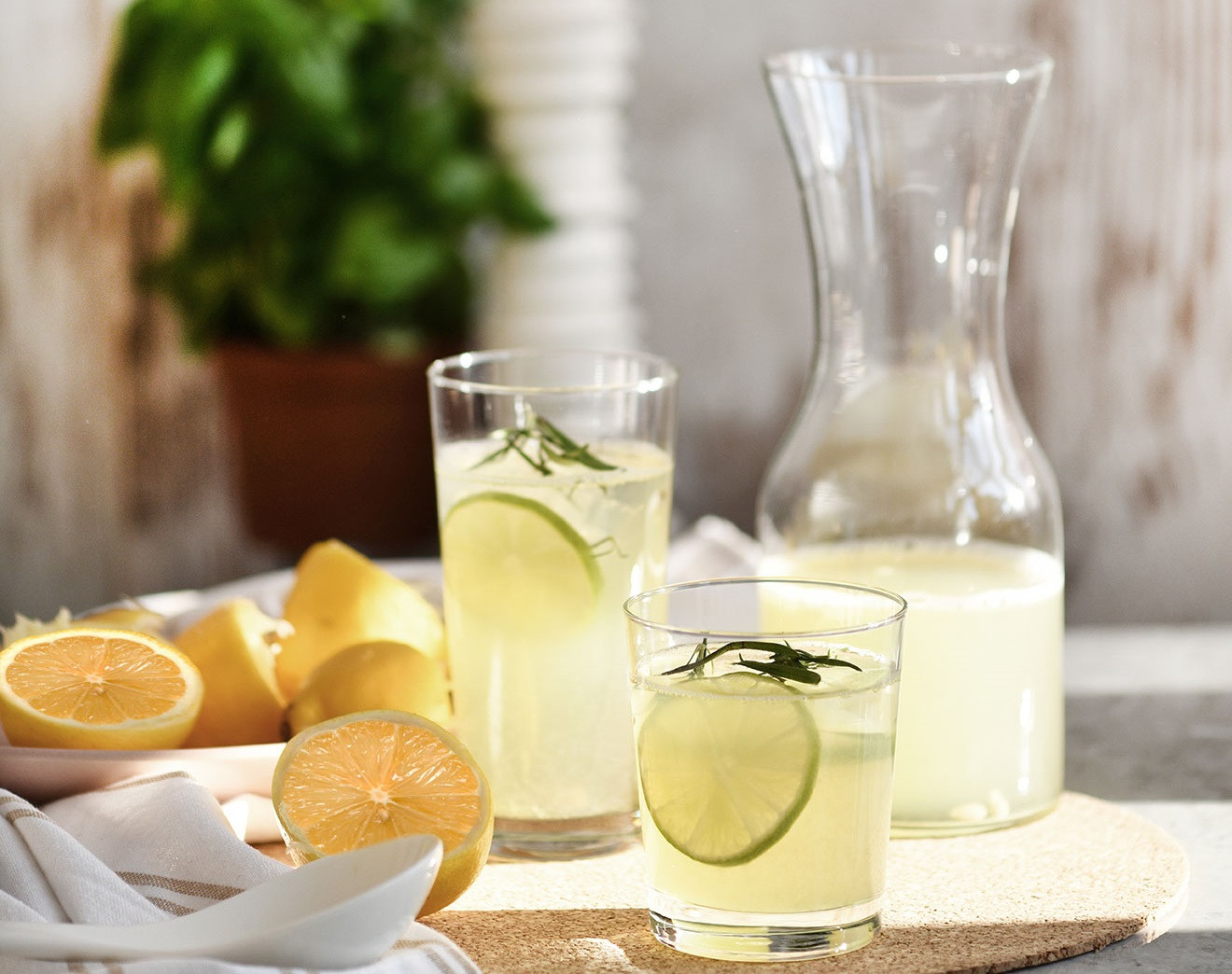 Domowa lemoniada - jak zrobić domową lemoniadę. Przpeisy - blog KROSNO